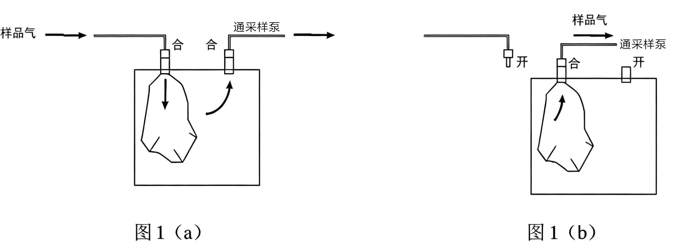 豆包.jpg 豆包.jpg
